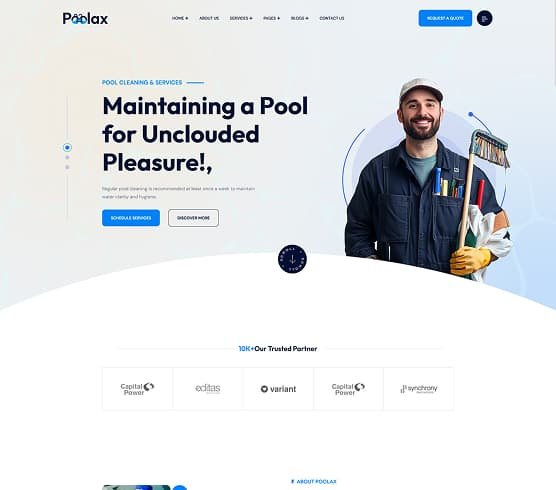 home pool maintaining services